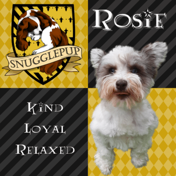 Snugglepup-Web-Photos-2