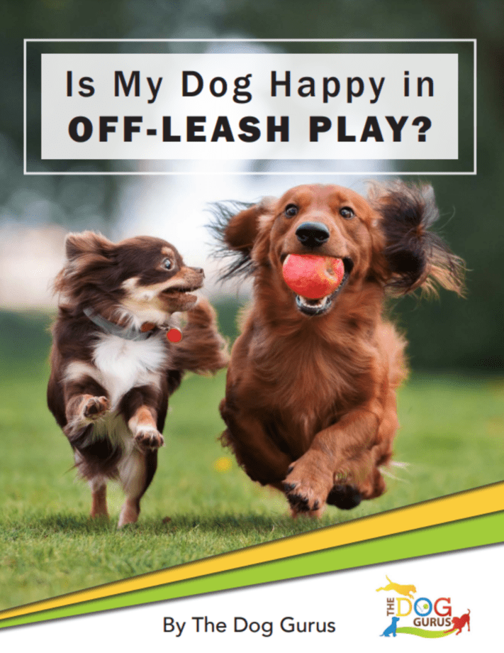 Off-Leash-1-1