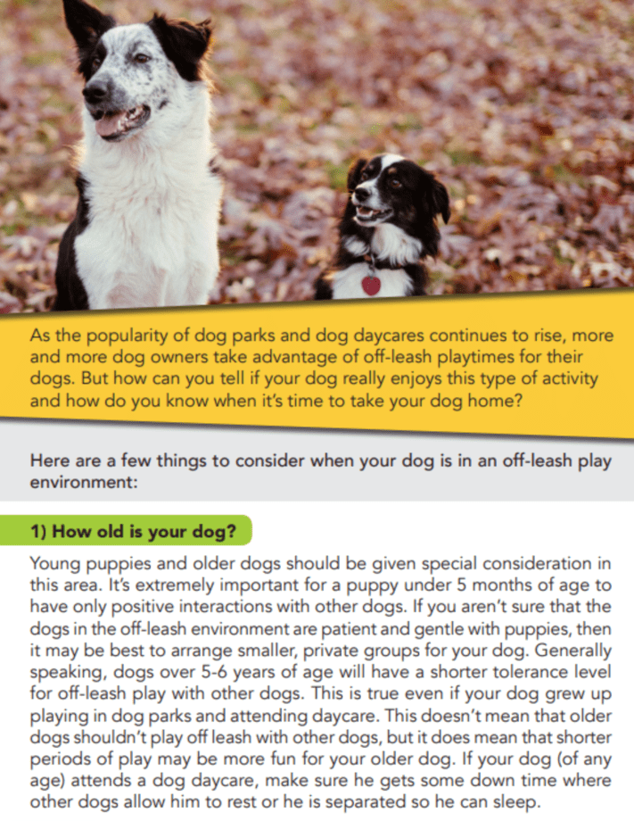 Off-Leash-2