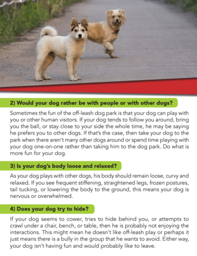 Off-Leash-3-768x994