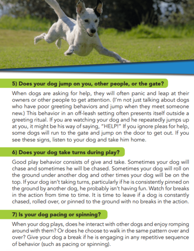 Off-Leash-4