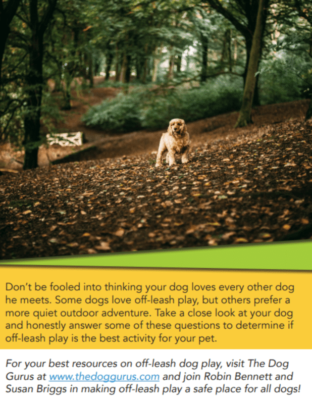 Off-Leash-5