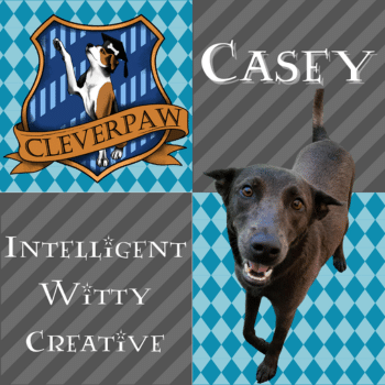 Cleverpaw Web Photos 1