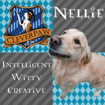 Cleverpaw Web Photos 2