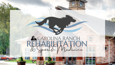 Rehab Blog